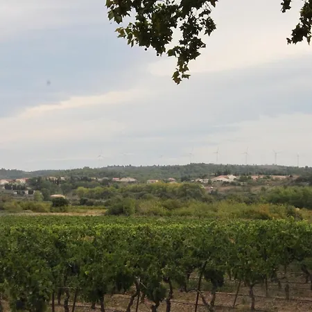 Maison Entre Corbieres Et Minervois Escales